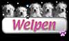 Welpen