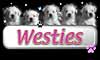 Westies