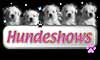 Hundeshows