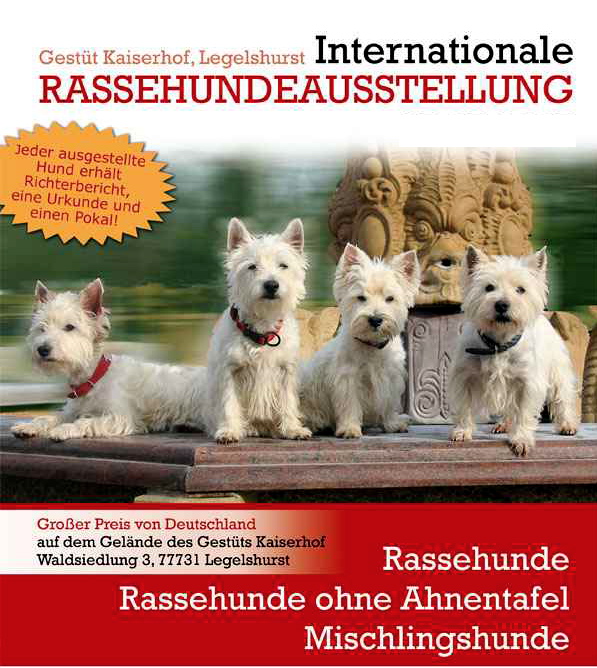 Rassehundeshow