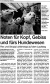 Zeitung